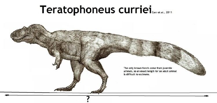 Teratophoneus Teratophoneus Pictures amp Facts The Dinosaur Database