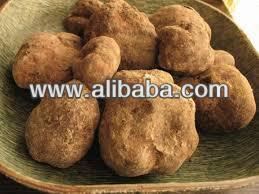 Terfeziaceae Truffle Mushroom Keme Geme Terfeziaceae Desert Truffle Buy Fresh