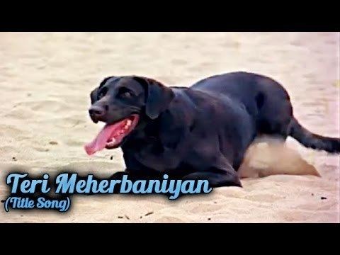 Teri Meherbaniyan Title Video Song Shabbir Kumar Teri