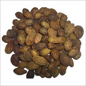 Terminalia chebula Terminalia Chebula Manufacturers Suppliers amp Exporters