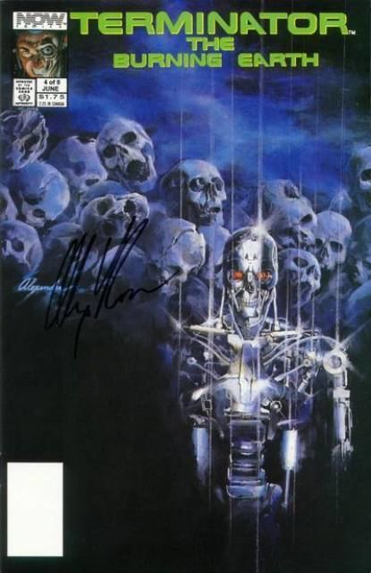 Terminator: The Burning Earth The Terminator The Burning Earth 1 Issue