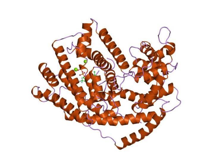 Terpene synthase C terminal domain