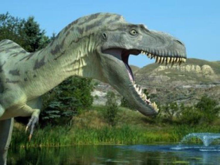 Terrestrial animal T rex has most powerful bite of any terrestrial animal ever