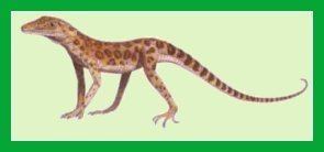 Terrestrisuchus Crocodylomorpha fossil record