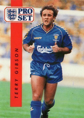 Terry Gibson WIMBLEDON Terry Gibson 248 PROSET 1990 1991 Football