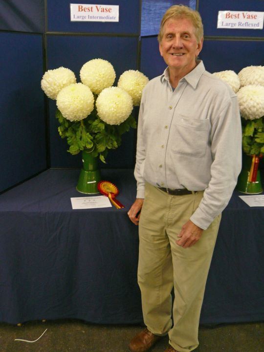 Terry Hubbard BloomingChrysanthemums Terry Hubbards Website
