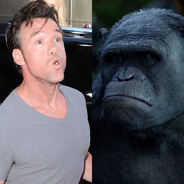 Terry Notary Terry Notary as Rocket The Actors Behind the Apes Zimbio