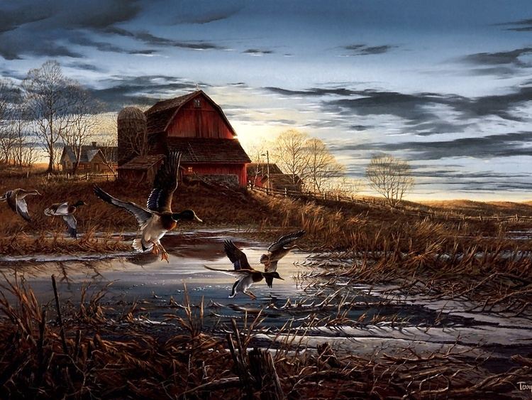 Terry Redlin Sweet in the middle map reveals Americans39 art tastes