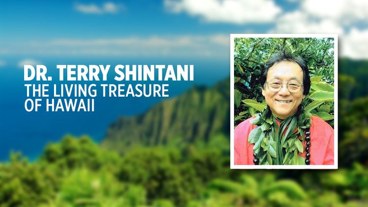 Terry Shintani Welcome to DrShintanicom