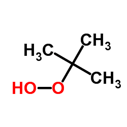 Tert-Butyl hydroperoxide tertButyl hydroperoxide C4H10O2 ChemSpider