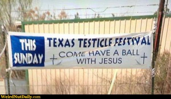Testicle Festival Funny Pictures WeirdNutDaily Texas Testicle Festival