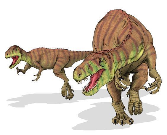 Tetanurae Afrovenatorabakensisdinosaurpng 15001213 Dinosauria