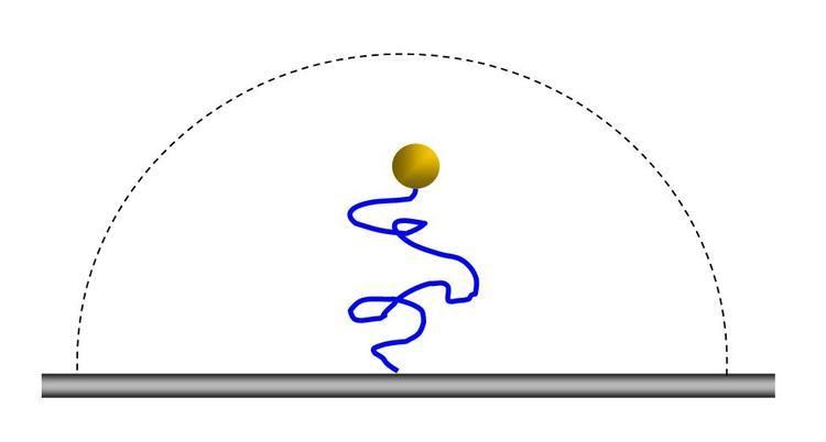 Tethered particle motion
