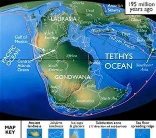 Tethys Ocean - Wikipedia