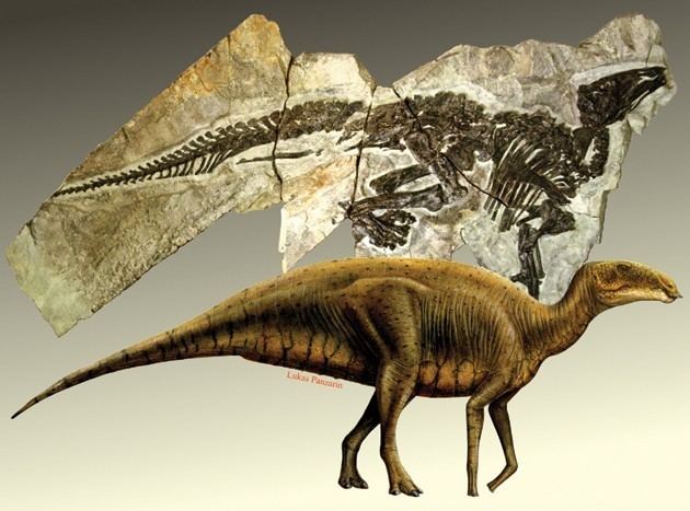 Tethyshadros Tethyshadros Pictures amp Facts The Dinosaur Database