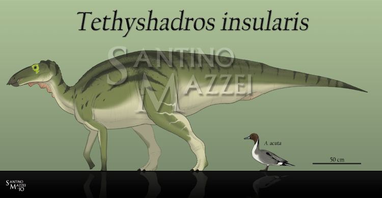 Tethyshadros Dwarf Hadrosaur Tethyshadros by santinomazzei on DeviantArt