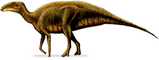 Tethyshadros TETHYSHADROS DinoChecker dinosaur archive
