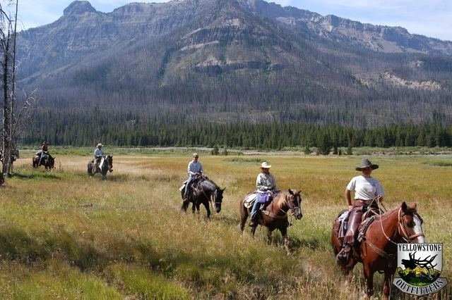 Teton Wilderness Trail Ride in Teton Wilderness at Yellowstone Outfitters Wyoming