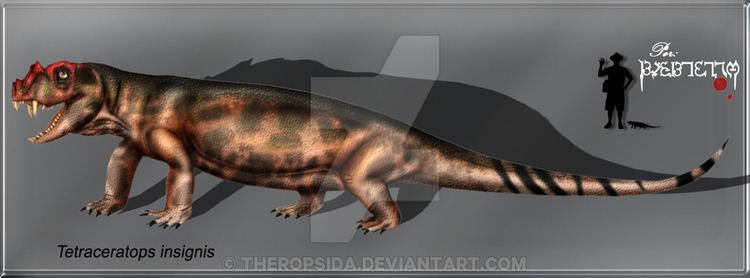 Tetraceratops tetraceratops DeviantArt