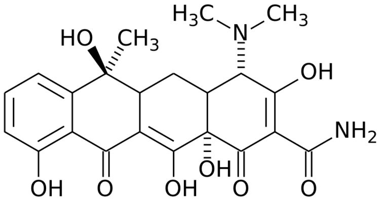 Tetracycline a Compound a Day TETRACYCLINE SIDE EFFECTS