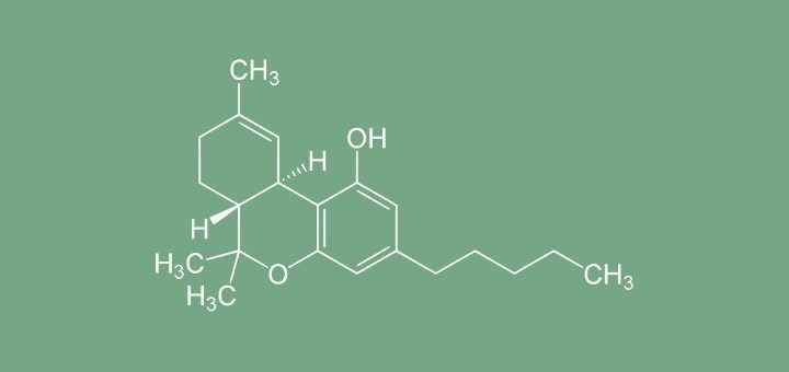 Tetrahydrocannabinol 6 Surprising Facts About THC Leaf Science