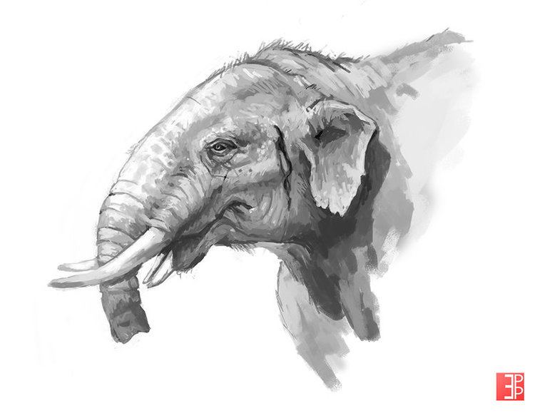 Tetralophodon Tetralophodon Sketch by TheDarkScion on DeviantArt