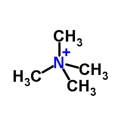 Tetramethylammonium tetramethylammonium C4H12N ChemSpider