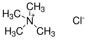 Tetramethylammonium chloride Tetramethylammonium chloride reagent grade 97 CH34NCl