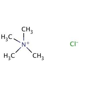 Tetramethylammonium chloride Tetramethylammonium chloride CAS 75570 SCBT