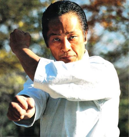 Tetsuhiko Asai The Asai Karate Kata By Andre Bertel