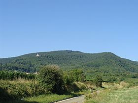 Teufelsberg (Haardt) httpsuploadwikimediaorgwikipediacommonsthu