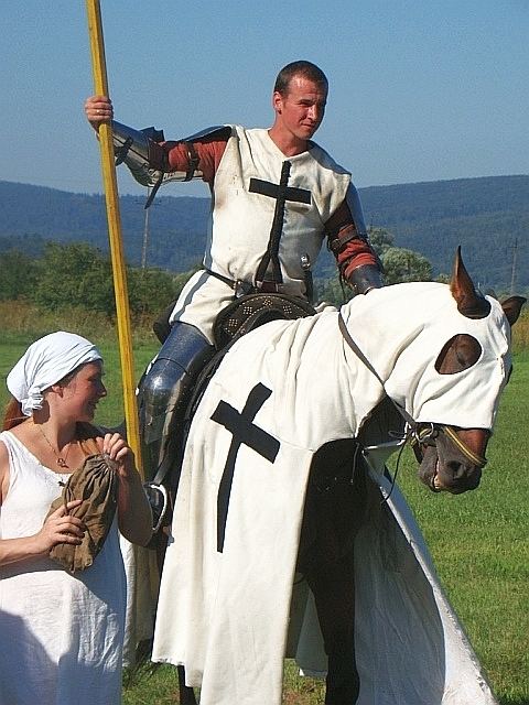 Teutonic Knights in popular culture