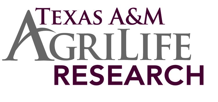 Texas AgriLife Research agrilifecdntamueducommunicationsfiles201208