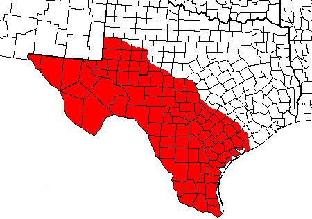 Texas divisionism