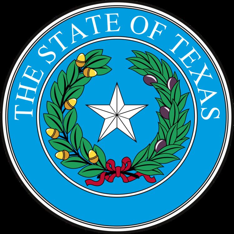 Texas gubernatorial election, 2018