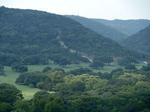 Texas Hill Country httpsuploadwikimediaorgwikipediacommonsthu