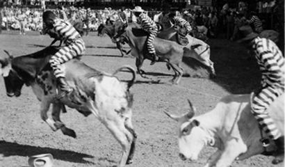 Texas Prison Rodeo Featured Article Texas Prison Museum