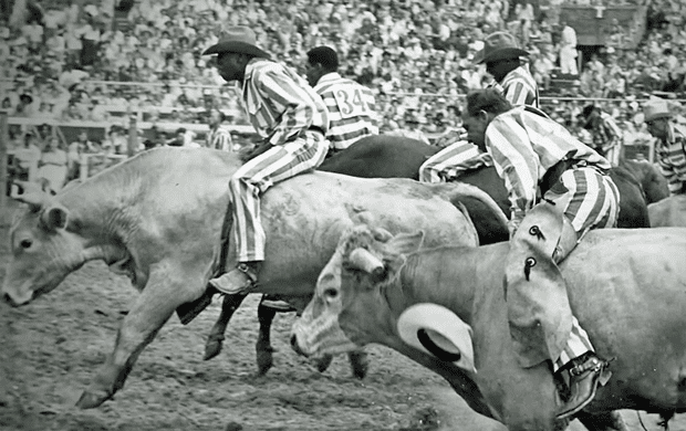 Texas Prison Rodeo A Look Back at the Texas Prison Rodeo