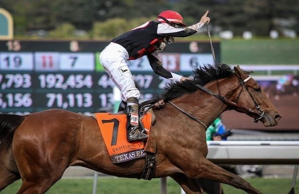 Texas Red (horse) Kentucky Derby 2015 Texas Red Pedigree Profile Pedigree Power