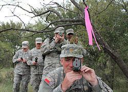 Texas State Guard Texas State Guard Wikipedia