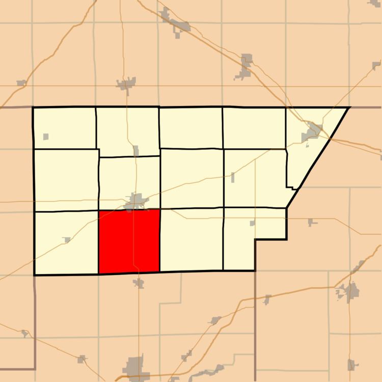 Texas Township, DeWitt County, Illinois