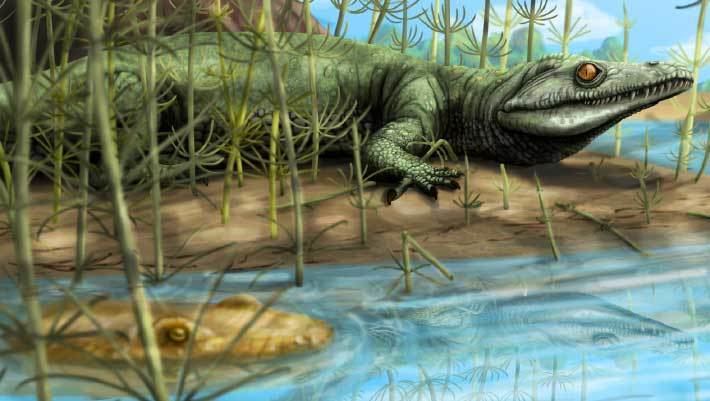 Teyujagua Ancient CrocodileLike Reptile Unearthed in Brazil Teyujagua