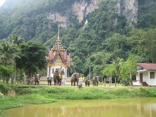 Tha Chana District httpsmw2googlecommwpanoramiophotosmedium