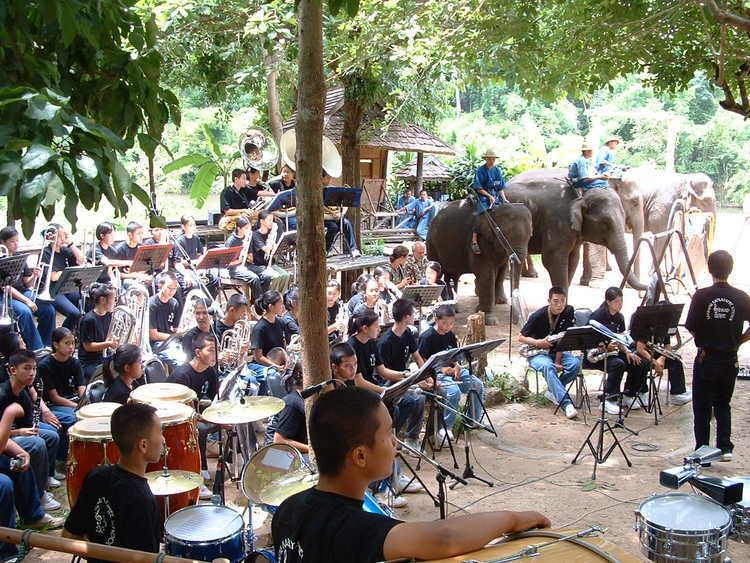 Thai Elephant Orchestra Thai Elephant Orchestra