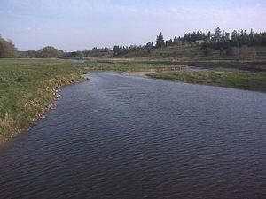 Thames River (Ontario) httpsuploadwikimediaorgwikipediacommonsthu