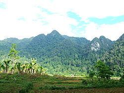 Thanh Sơn District httpsuploadwikimediaorgwikipediacommonsthu