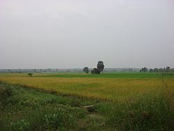 Thanjavur district httpsuploadwikimediaorgwikipediacommonsthu