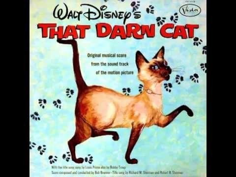 That Darn Cat! movie scenes That Darn Cat 1965 Ten Foot Surf