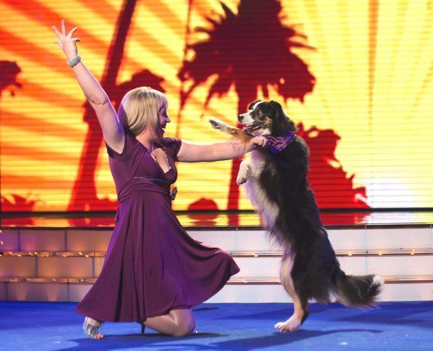 That Dog Can Dance PICTURES Meet the canines competing in That Dog Can Dance