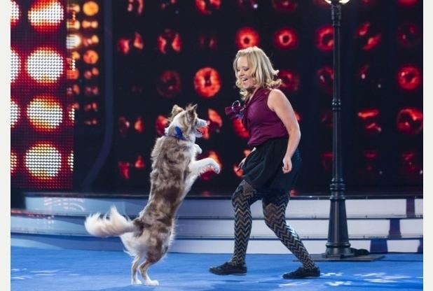 That Dog Can Dance Dancing dog from Lincolnshire wins ITV39s That Dog Can Dance
